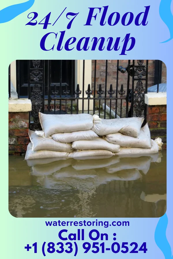 24/7 Flood Cleanup in Randleman, NC