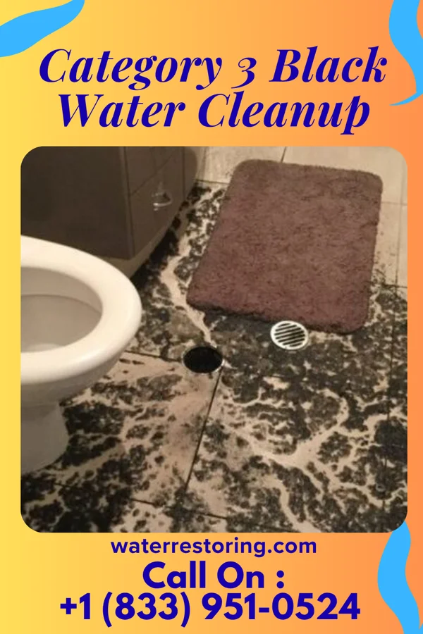 Category 3 Black Water Cleanup in Randleman, NC