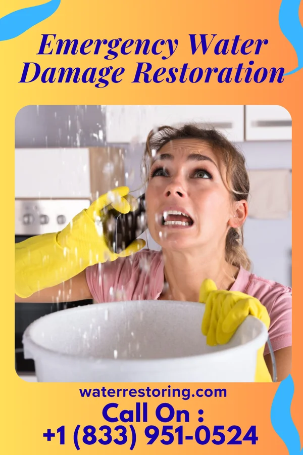 Emergency Water Damage Restoration in Randleman, NC