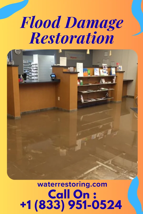 Flood Damage Restoration in Randleman, NC