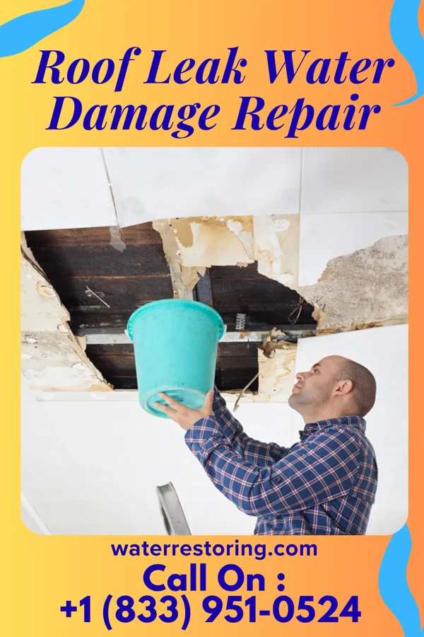 Roof Leak Water Damage Repair in Randleman, NC