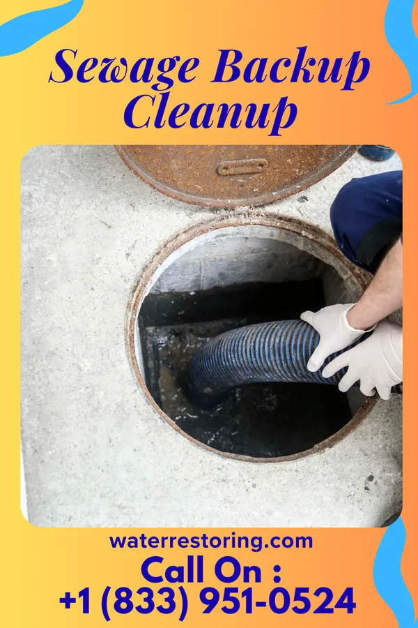 Sewage Backup Cleanup in Randleman, NC