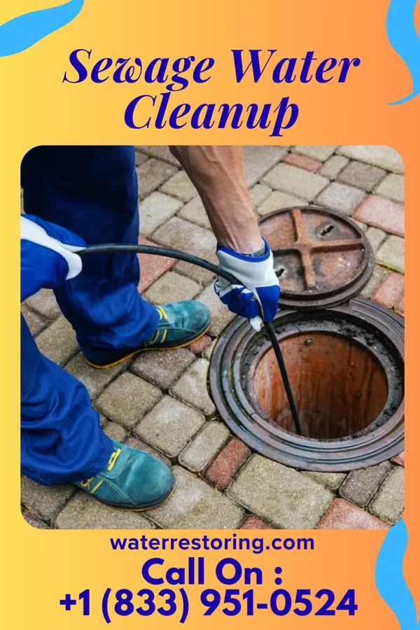 Sewage Water Cleanup in Randleman, NC